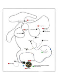 Lighting System Wiring Harness for Massey Ferguson 135 (1955–1975)