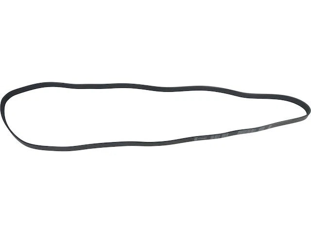 Multi Rib Belt for Tribute (2001–2008) JW247HD