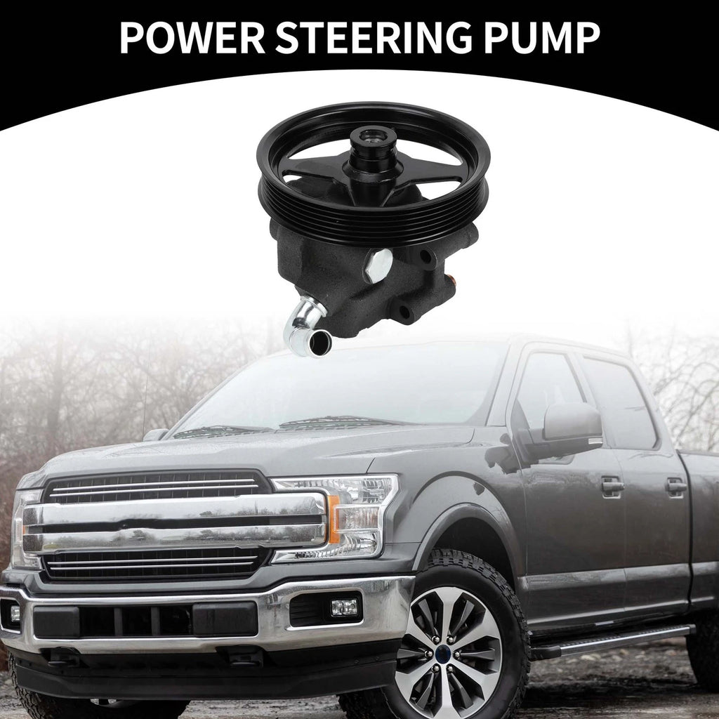 Power Steering Pump with Pulley for Ford Expedition (2001–2002) DAY20282