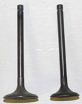 WSM Engine Valve Kit for Kawasaki 200-300 (1981–2004) - 017-101