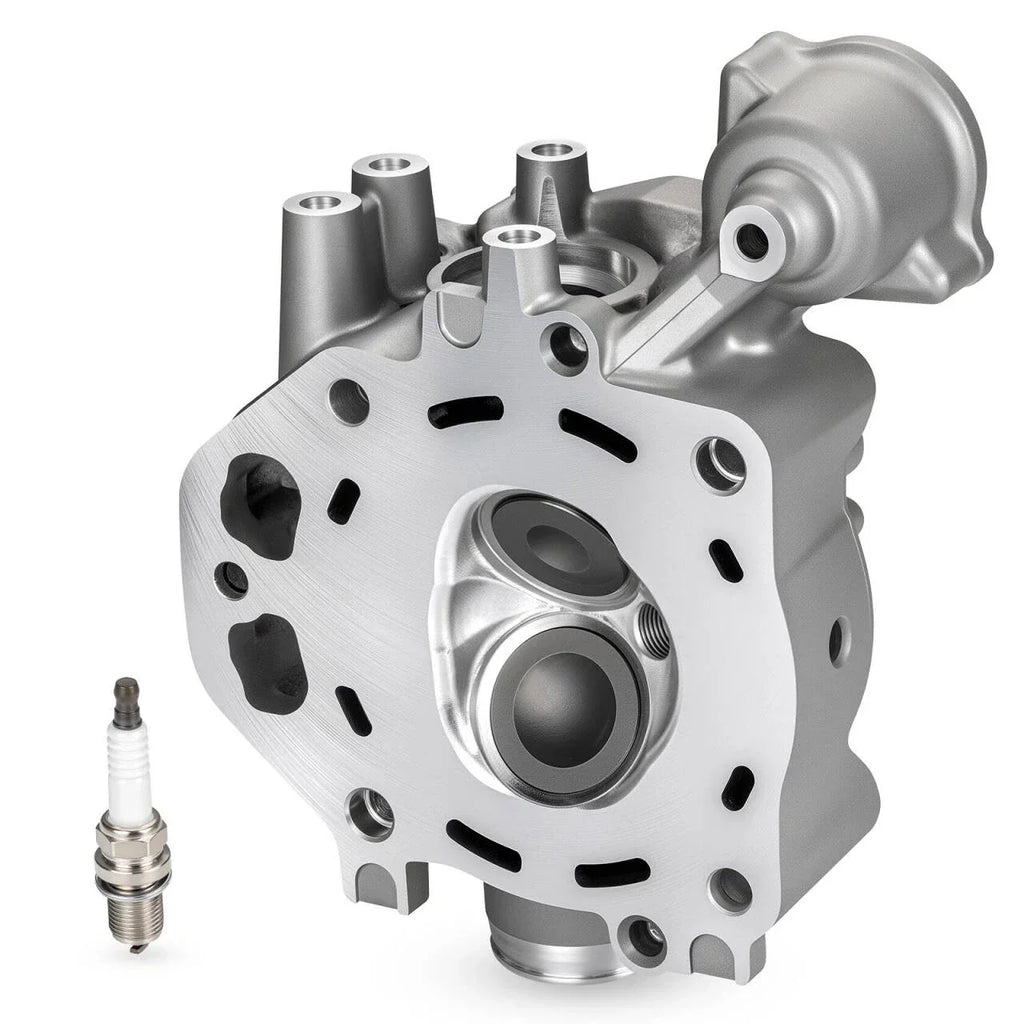 2 x Cylinder Head Assy for Honda TRX420 TRX500 SXS500M