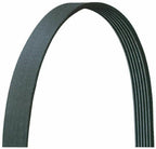 MerCruiser Belt 57-865615Q04 for 4.3 5.0 5.7 350 MAG