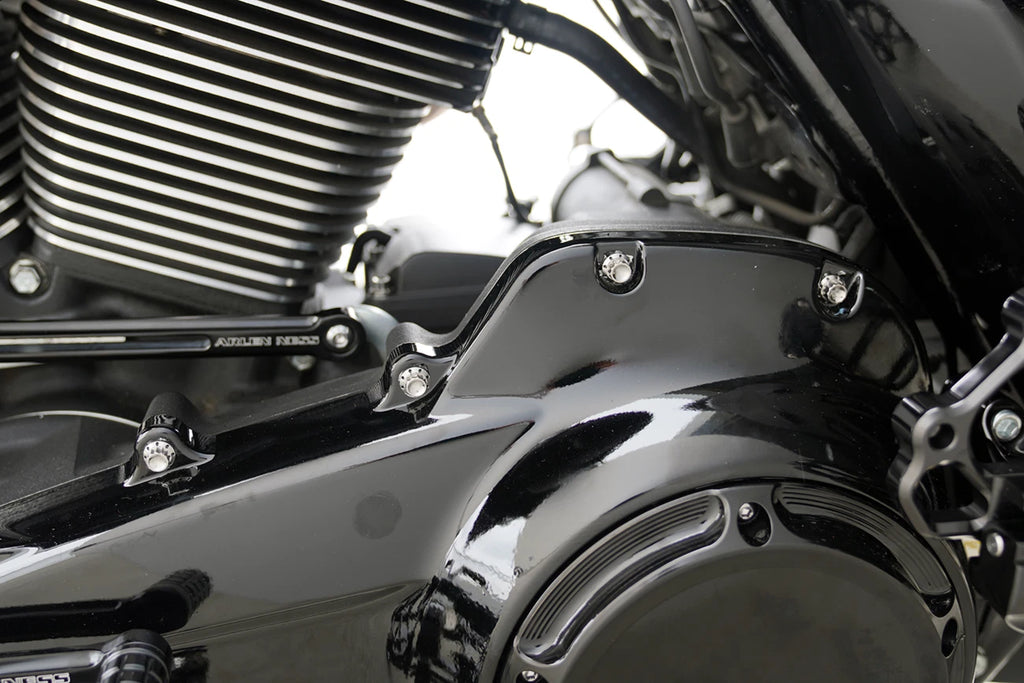Bolt Kit for Harley FLT (Primary Cover, Titanium, 12-Point)