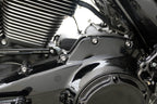 Bolt Kit for Harley FLT (Primary Cover, Titanium, 12-Point)