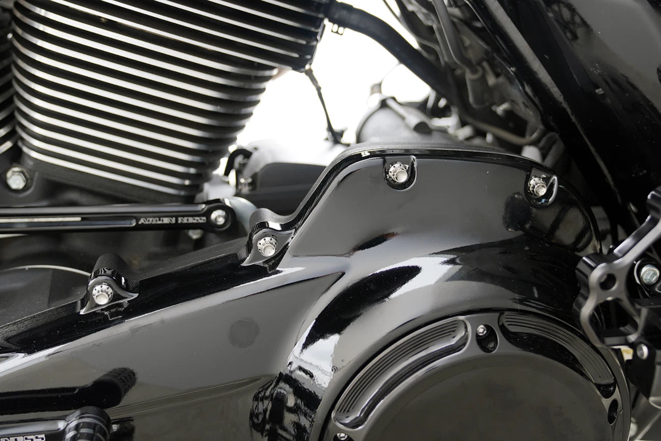 Bolt Kit for Harley FLT (Primary Cover, Titanium, 12-Point)