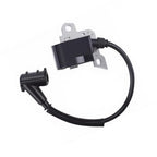 Electronic Ignition Module for