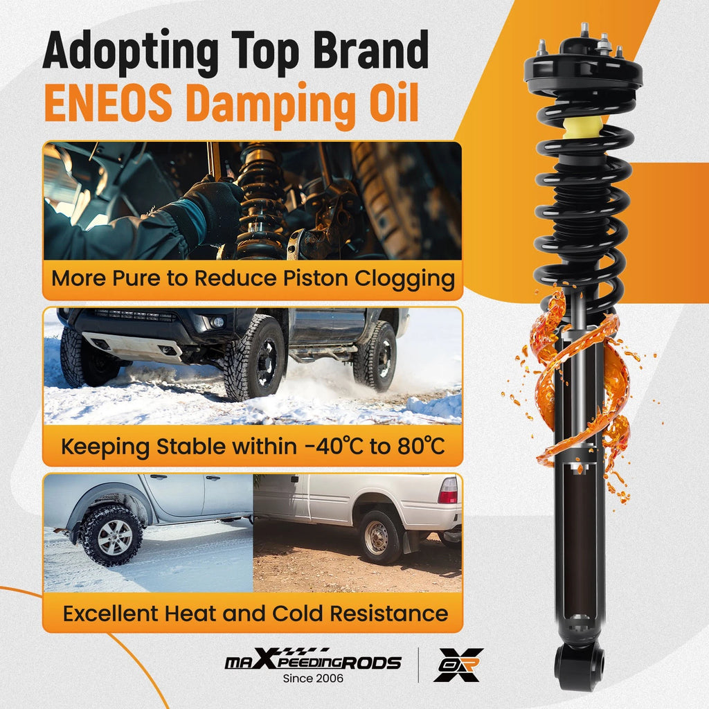 Set of 2 Rear Front Struts Assembly for Ford F-150 (2009–2013) RWD