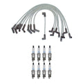 Denso 8mm Wire Set & 8 Platinum TT Spark Plug Kit for 7.5L V8 Carb