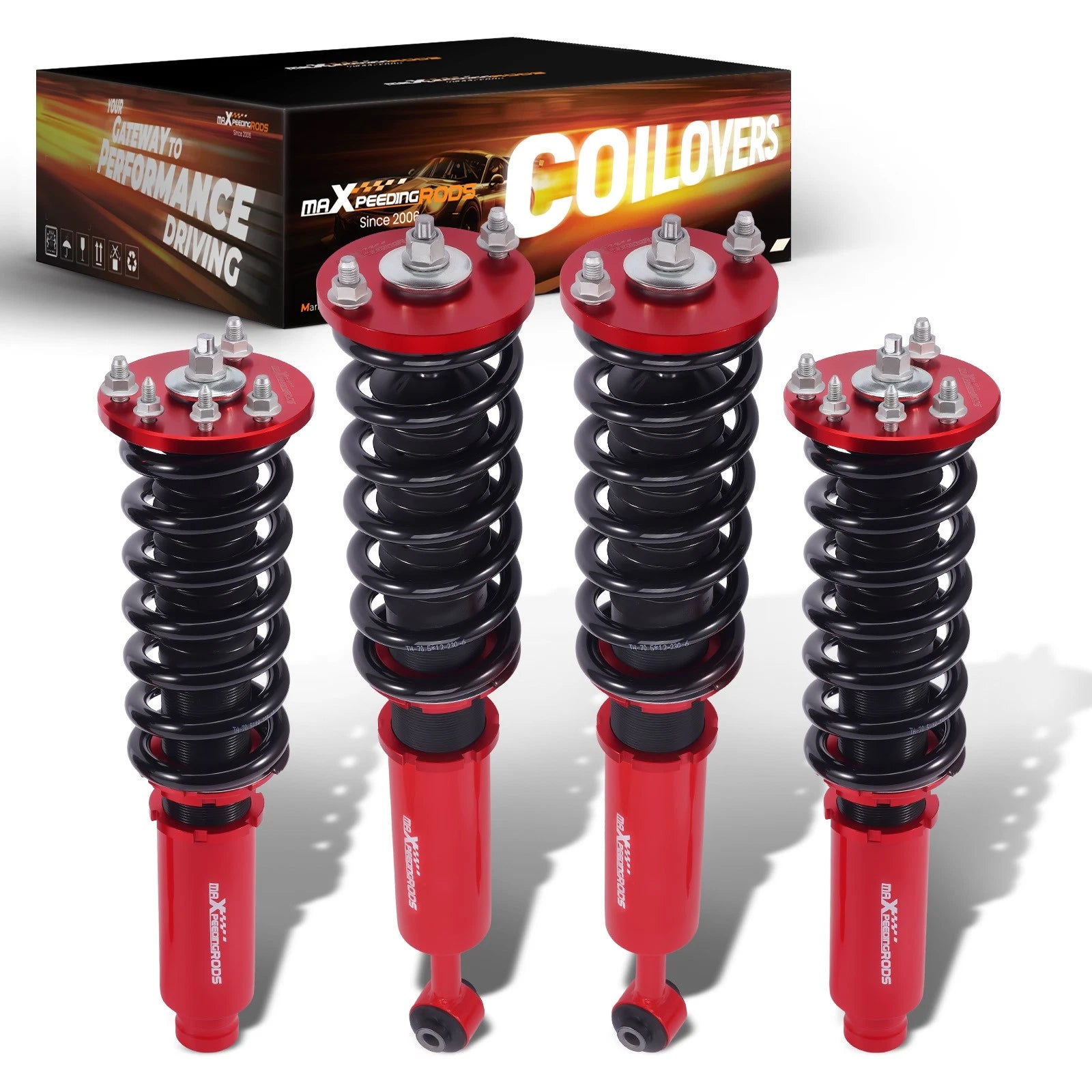 Adjustable Coilover Struts for Acura CL (2001-2003)