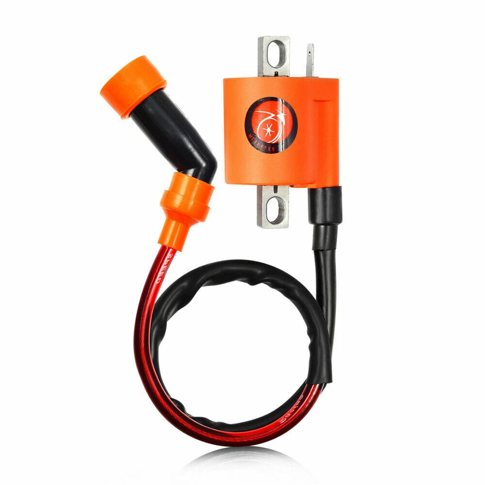 Ignition Coil & CDI for Yamaha Timberwolf YFB250, BearTracker YFM250 (1994-2000)