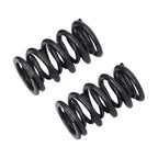 Dual Valve Spring Kit for LS Engines (4.8, 5.3, 6.0, LS1, LS2, LS3)