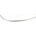 Bumper Trim for Buick Century (1997-2003)