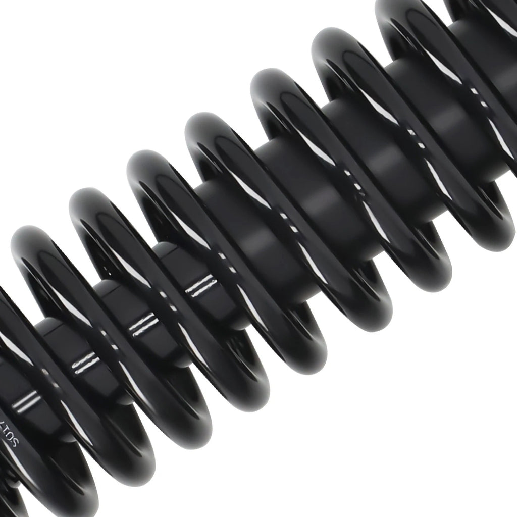 2X Front Complete Struts Shocks with Coil Springs for Honda Accord (1994–1997)