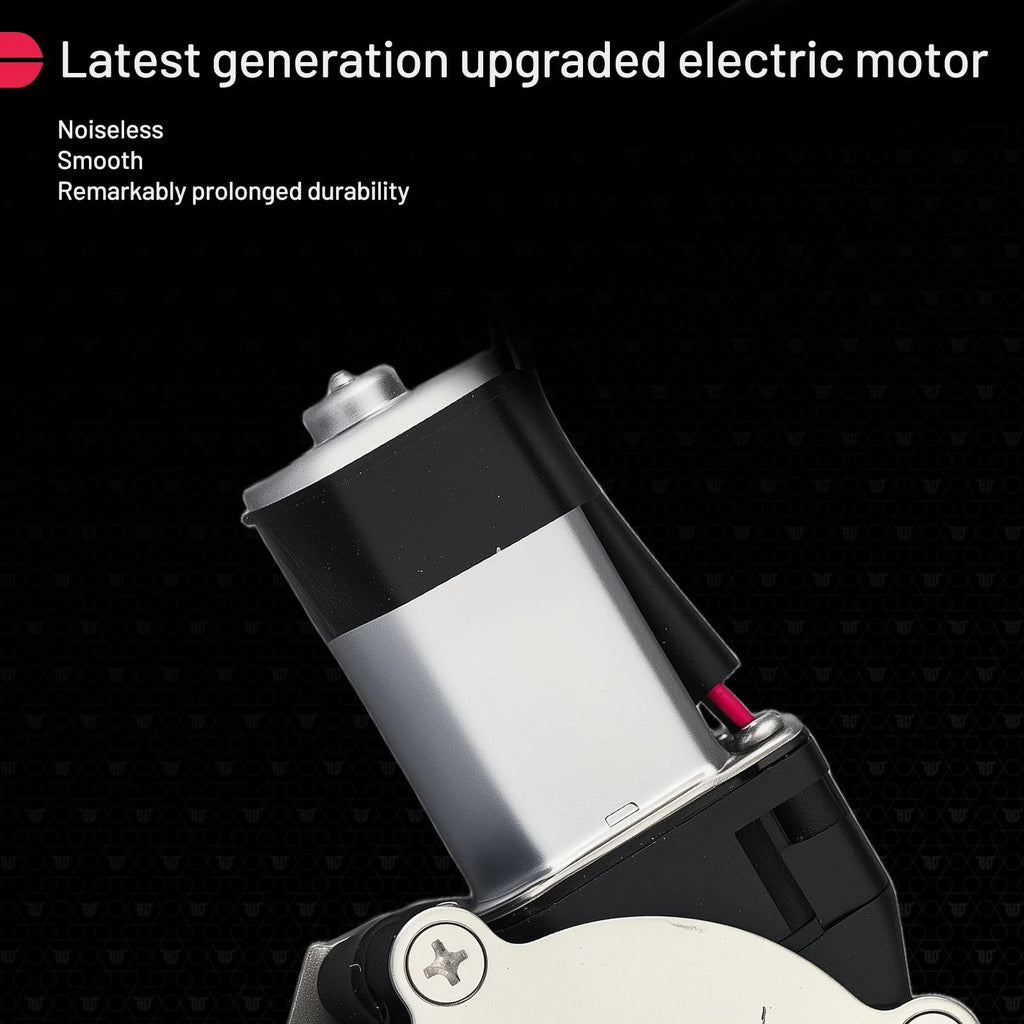 2X Front Shock Struts w/Coil Spring for Ford F150 4WD (2009–2013)