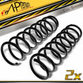 2X Rear Suspension Coil Spring for BMW E60 525i 530i 545i (2001–2010)