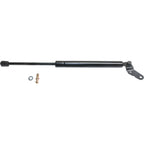 Trunk Lid Lift Support for Toyota Celica (2000–2005)