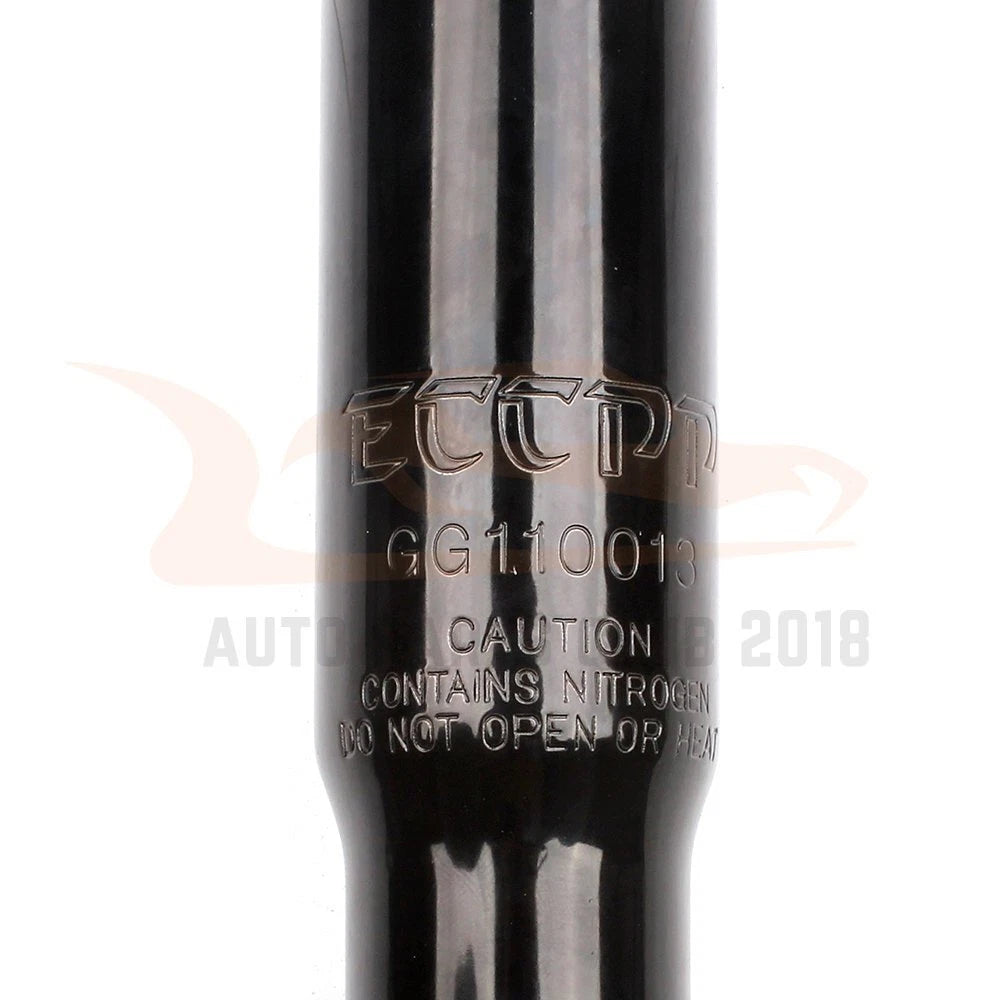 Set of 2 Front Struts for Dodge Ram 1500 (1994-2001)
