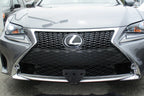 License Plate Bracket Removable for Lexus RC350 F Sport (2017–2018)