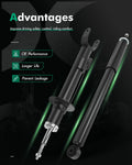 Full Set Struts Shocks for Dodge Charger Chrysler 300 RWD (2011–2020)
