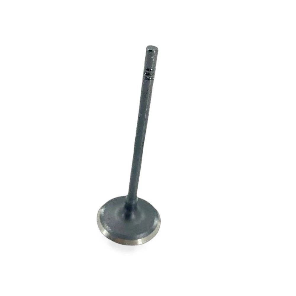 Intake Valve for Ford EcoSport Focus Escort (2019–2023) HN19-6507AA