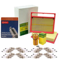 Ignition Tune-Up Kit for Mercedes (Mann-Filter)
