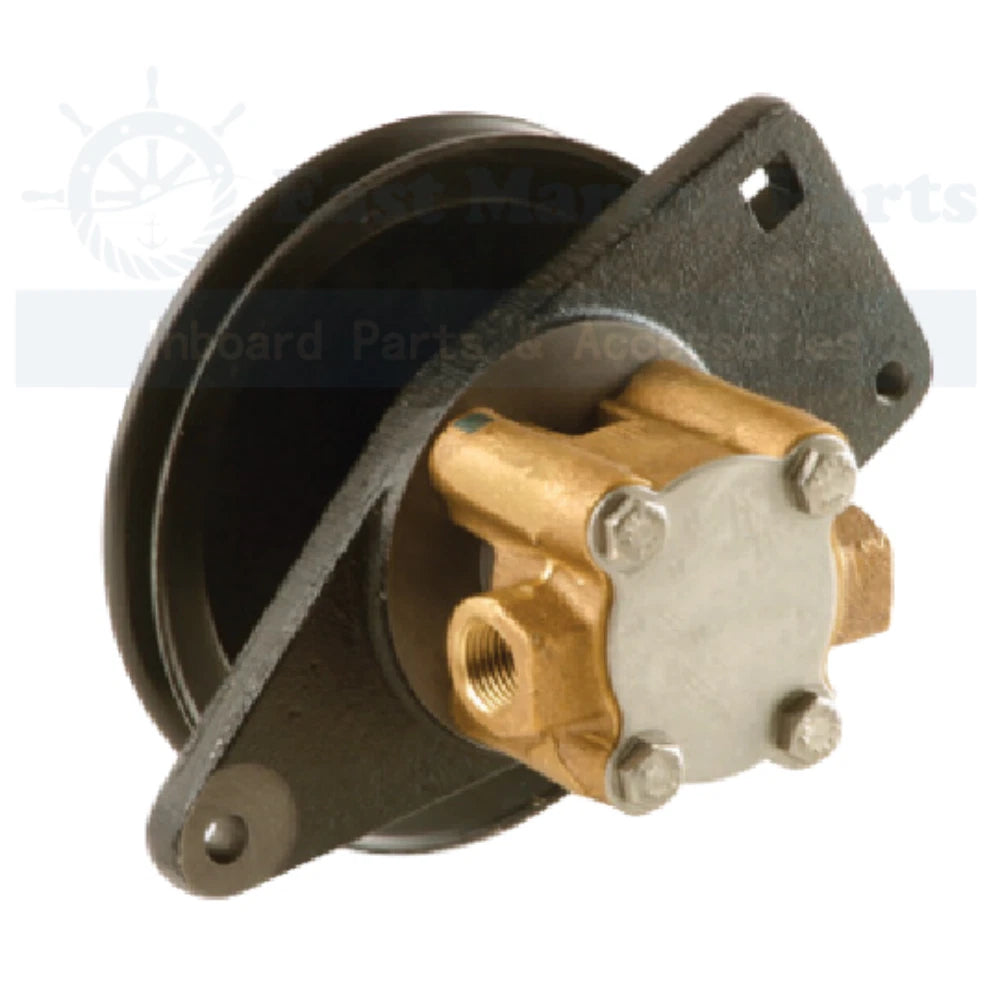 SeaWater Pump for Cummins Onan MDKBH MDKBJ MDKBW QD (4/5 6/7.5 8kW)