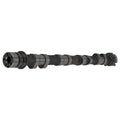 1X Engine Camshaft for Chevy Equinox GMC Terrain 4Cyl 2.4L (2010–2016) 12604896