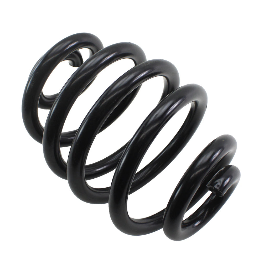 Lesjofors Rear Coil Spring 4208468 for BMW E46 325i (1998–2006)