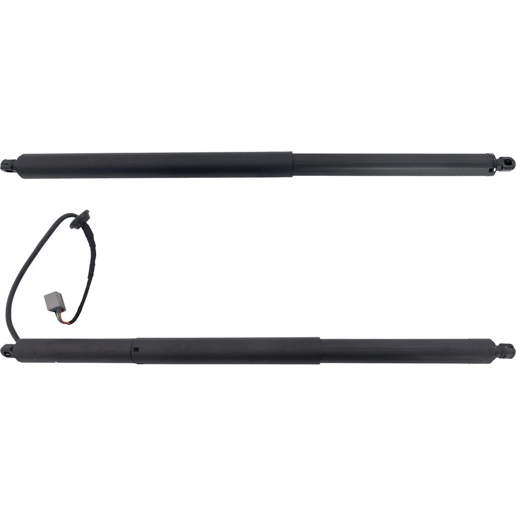 Set of 2 Liftgate Lift Supports for S