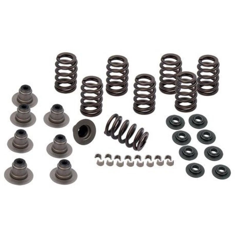 Valve Spring Kit for S&S Cycle M8 Models (2017–Present) - .605in