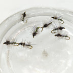 5 Pack Stonefly Dry Fly for Trout (WY1090)