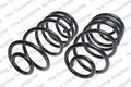 Rear Coil Spring Kit for Buick (4412133)