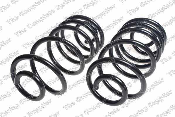 Rear Coil Spring Kit for Buick (4412133)