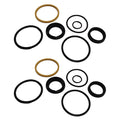2X Cylinder Seal Kit for Ford/New Holland (Replaces 6661288)
