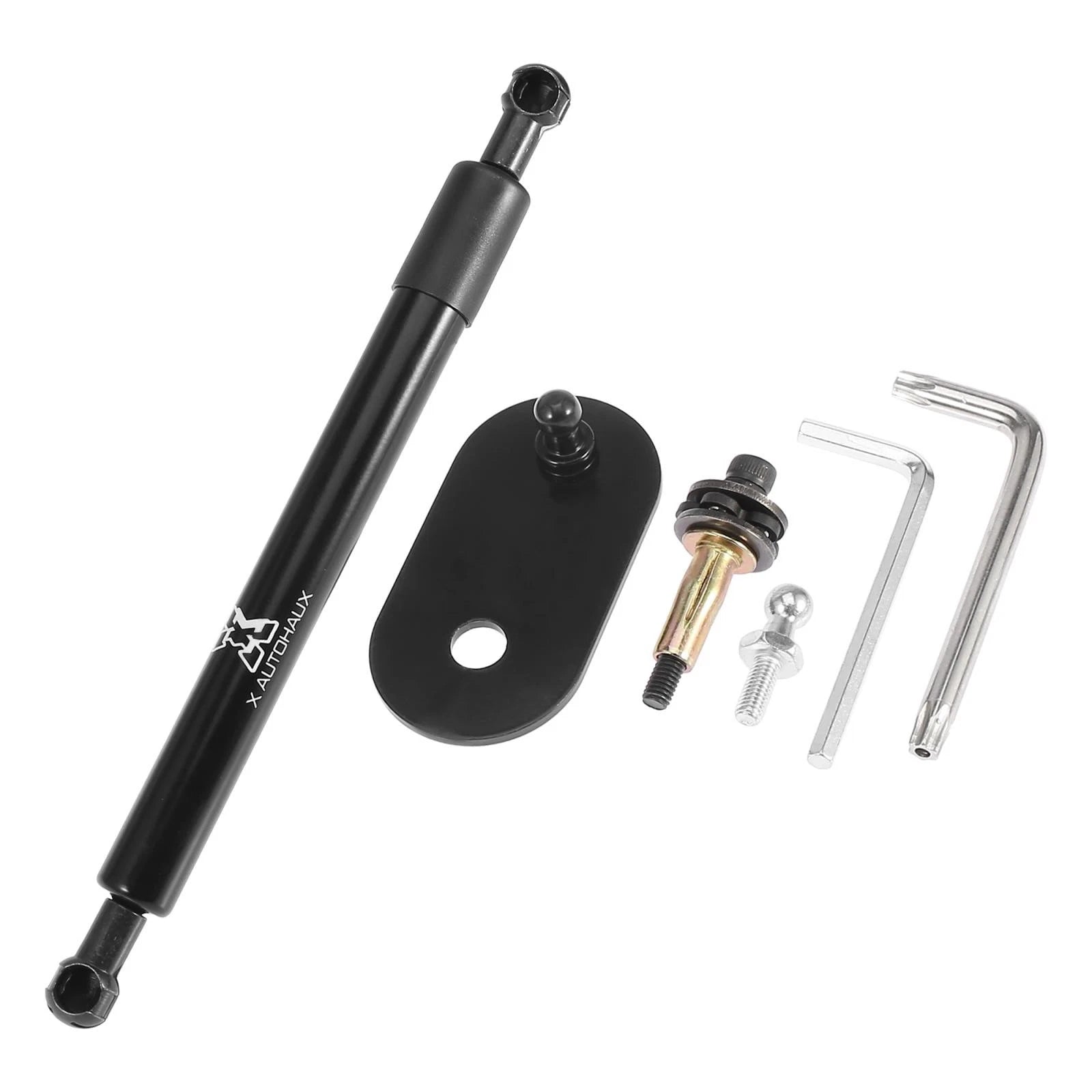 Set of 2 Tailgate Lift Support Gas Springs for Dodge Ram 1500 (2009–2019)