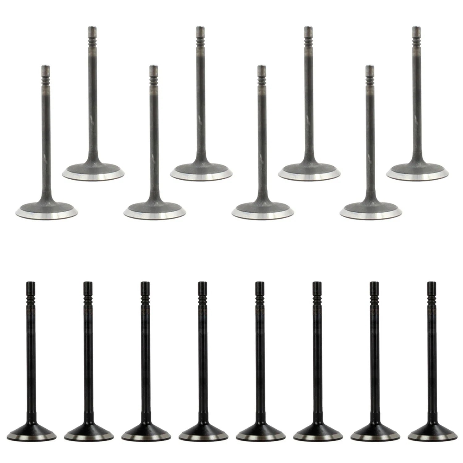 Set of 16 Intake & Exhaust Valves for Dakota Grand Cherokee 4.7L V8 (1997–2004)