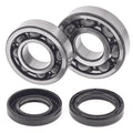 Crankshaft Bearing & Seal Kit for Yamaha YFS200 (1988–2006)