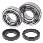 Crankshaft Bearing & Seal Kit for Yamaha YFS200 (1988–2006)