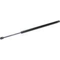 Lift Support for Ford Flex (2009–2016) Driver and Passenger Side