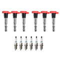 Set of 6 Ignition Coils & Denso Iridium Spark Plugs for Audi A4 A6 (2000–2023)