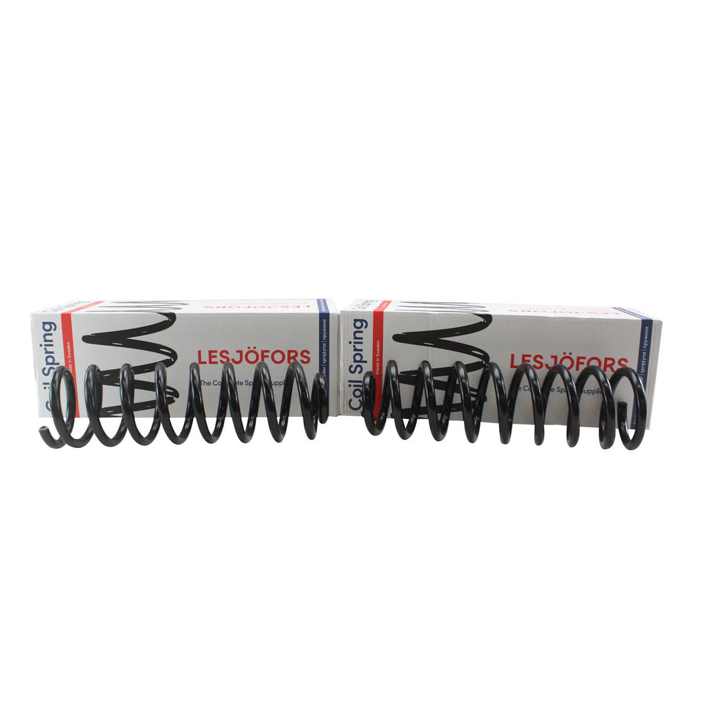 Heavy Duty Rear Coil Spring Kit for Chevrolet (4414206)