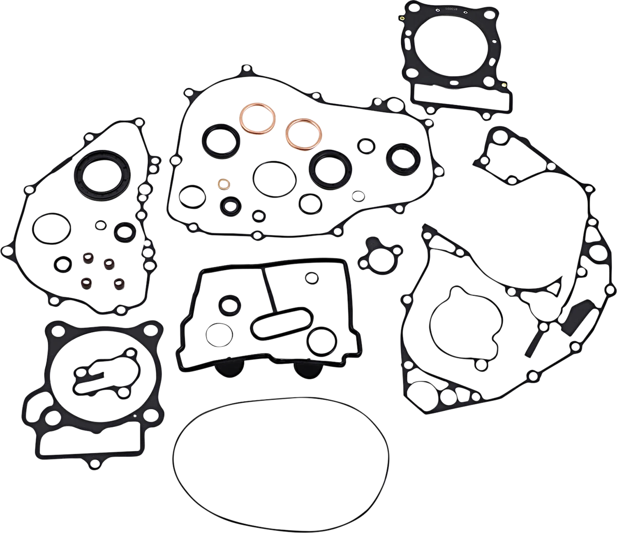 Complete Motor Gasket Kit with Oil Seals for Honda (8110030mse)