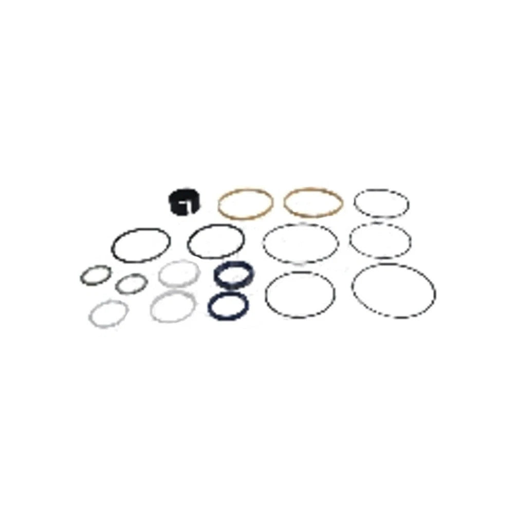 Hydraulic Cylinder Seal Kit for Ford/New Holland (1101-1253)