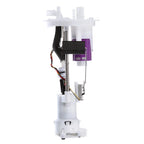 Delphi FG0850 Fuel Pump Module Assembly for Ford F-150/Lincoln Mark LT (2004–2008)