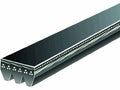 Water Pump Multi Rib Belt for Mazda Tribute (2008) W387HG