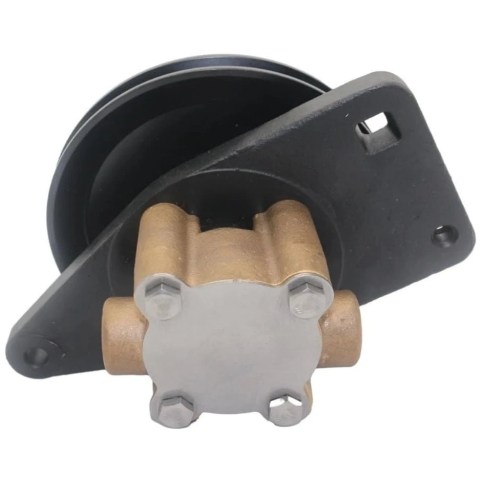 Raw Sea Water Pump for Cummins Onan Engine (132-0395, Sherwood G8002, GP8002)