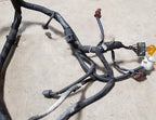 Engine Bay Harness for Ford Thunderbird Cougar 5.0L (1993)