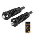 2X Front Struts with Coil Spring Assembly for Honda Civic (1996–2000)