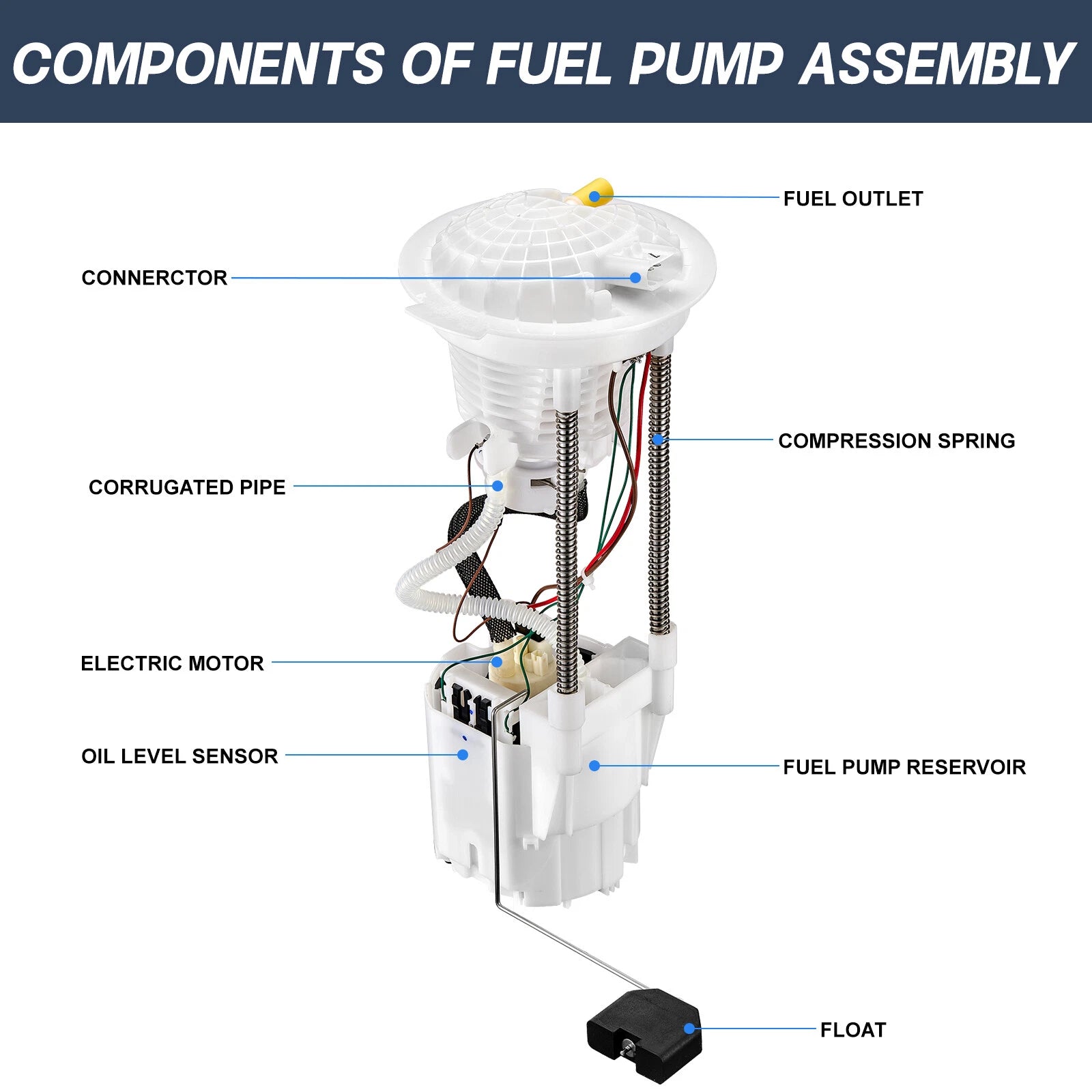 Fuel Pump Module Assembly for 2004–2007 Dodge Ram 1500 2500 3500 (3.7L 4.7L 5.7L)