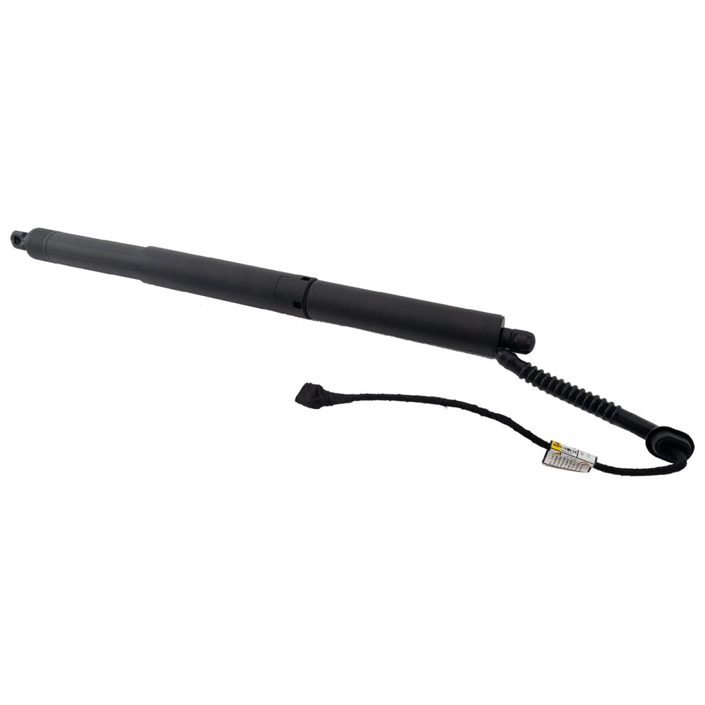 Lift Support for BMW X5 (2017–2018) Driver and Passenger Side